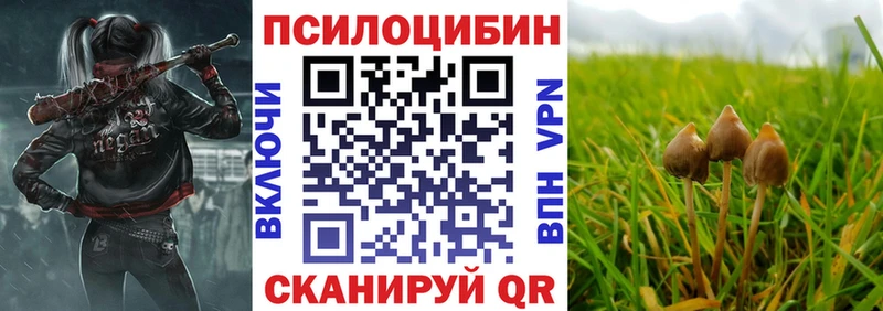 Галлюциногенные грибы Psilocybine cubensis  Тбилисская 